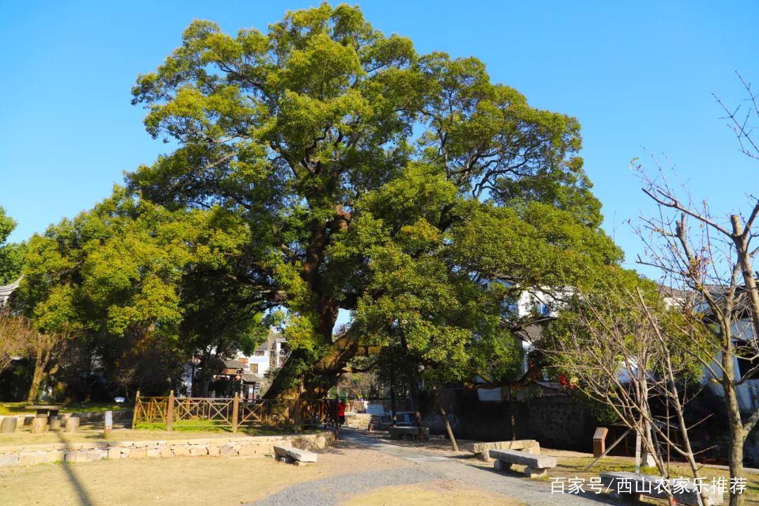 苏州西山景区有哪些景点,苏州西山缥缈峰景区