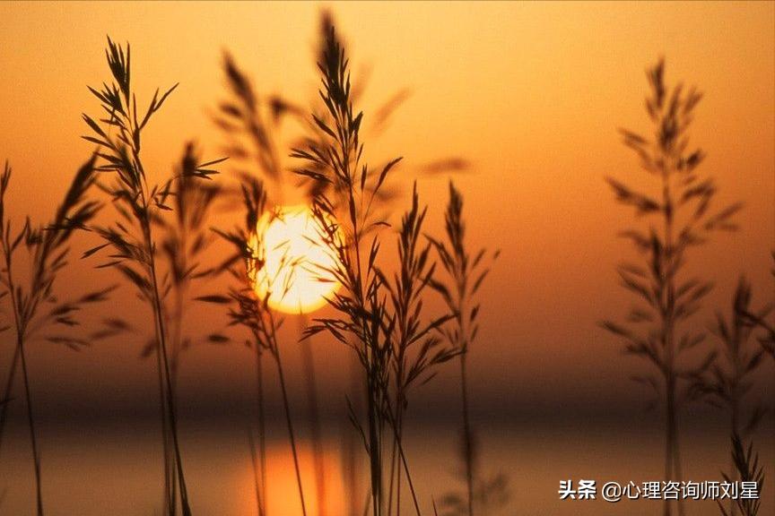 半夜起来睡不着心理学原理,凌晨23点睡不着什么原因