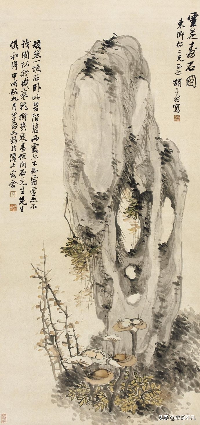 灵芝真的有那么神奇的功效吗,灵芝是个很神奇的药材