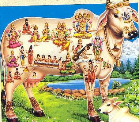 印度印象(七)—谈谈我在新德里的那些事儿