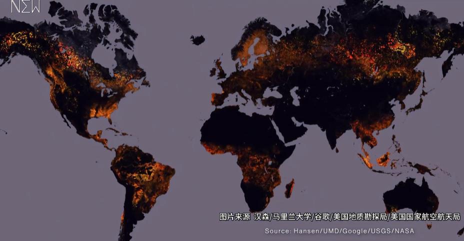 富二代晒骨皮包的残忍真相,富二代晒人骨皮包的残忍真相