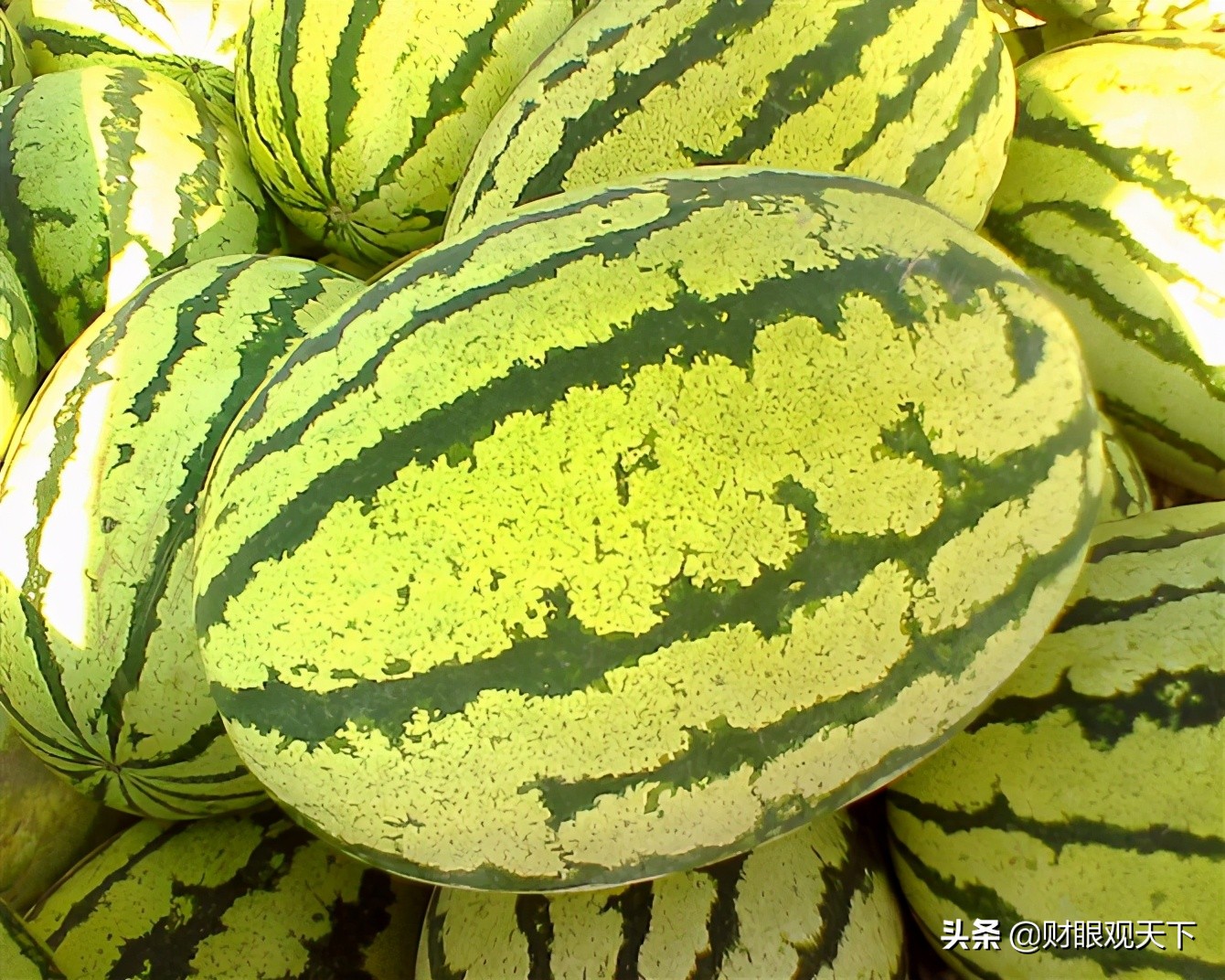 不能错过的*疆新**水果（一）