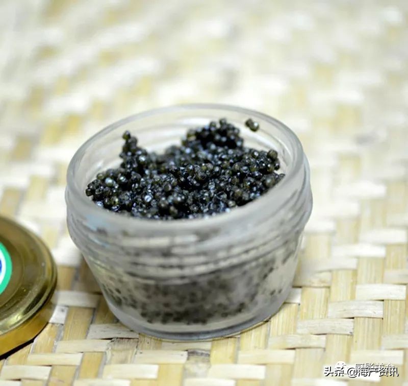 世界公认十大海鲜,全球顶级海鲜食材大赏