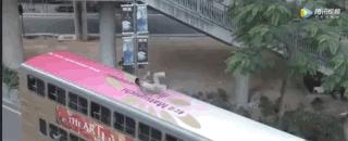 甄子丹57岁演的电影,57岁甄子丹晒全家福