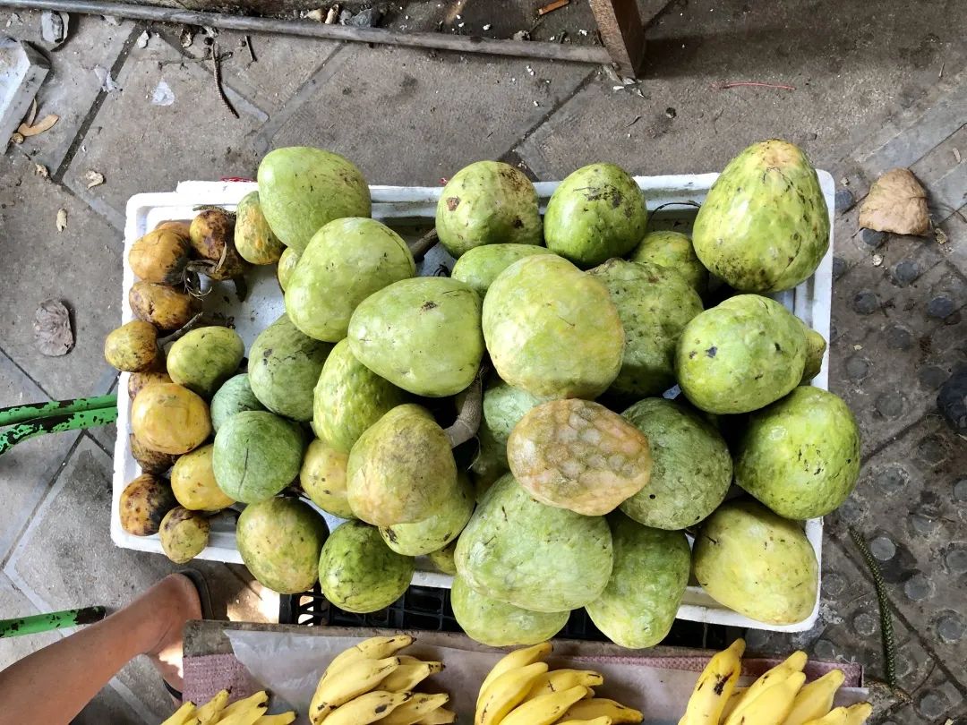 云南人最认同的本地食材,外省人来云南没有见过的菜