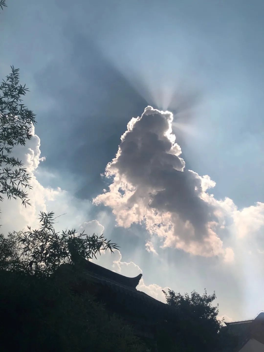 济南的楼市将要放开吗,济南楼市价格最近又涨吗