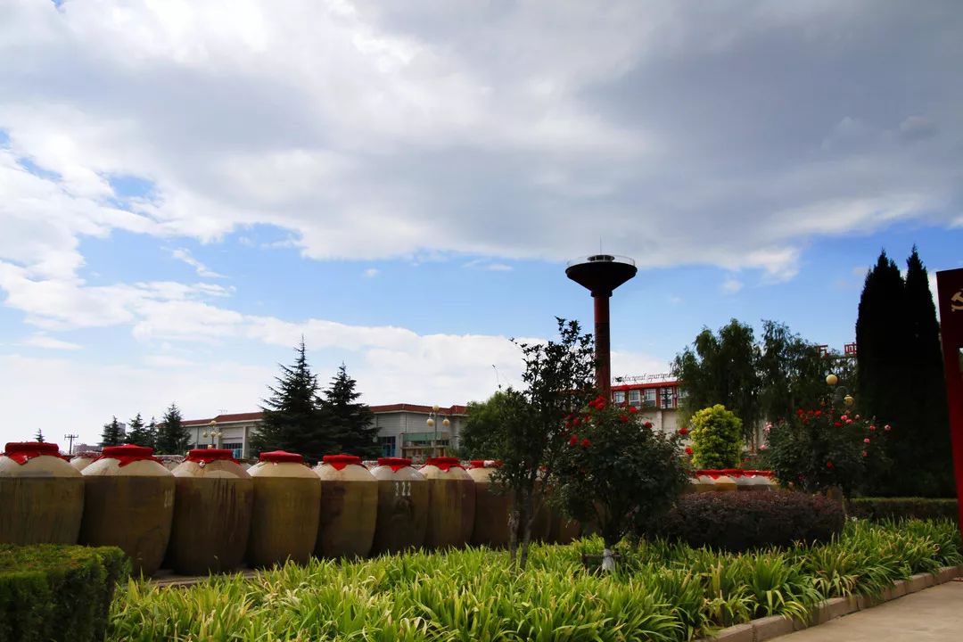 美文美酒:我对仰韶酒厂的深刻印象