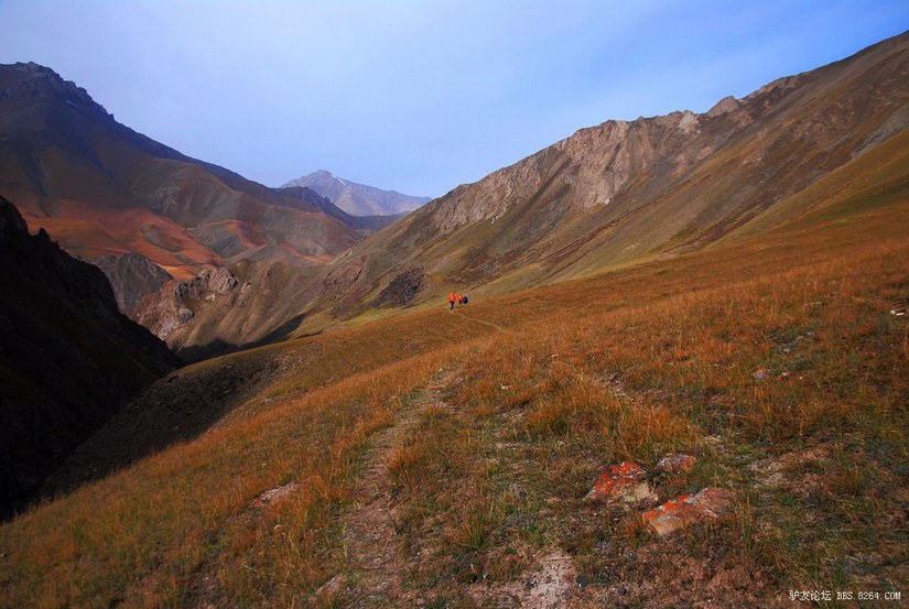 狼c调简谱教唱,狼c