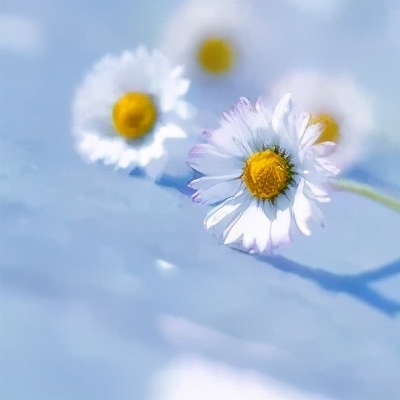 产后妈妈们最真实的月子生活,产后妈妈真实生活