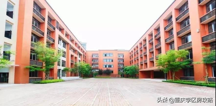 南岸最强初中,南岸区初中最好的学校排名