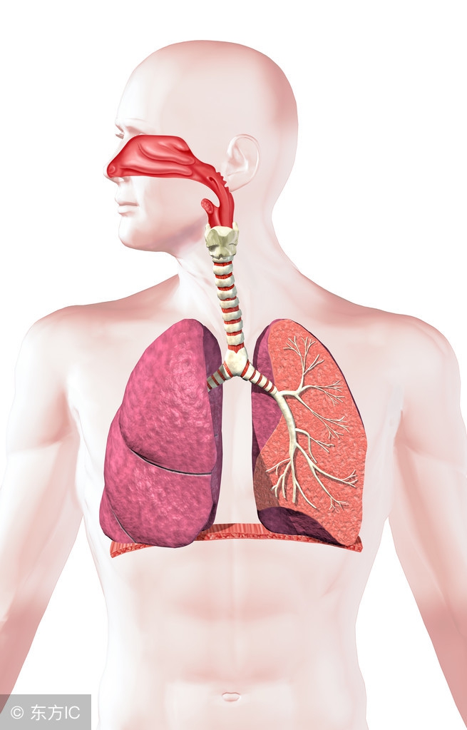 拍片查出肺结节,拍ct肺结节误诊的几率多大