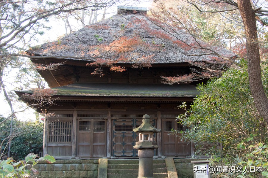 横滨三溪园,横滨三溪园介绍