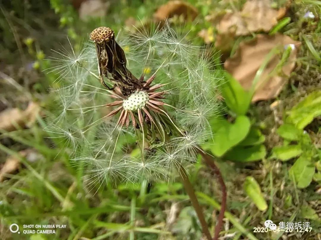 努比亚play和红米note10pro哪个好,努比亚play详细细节测评