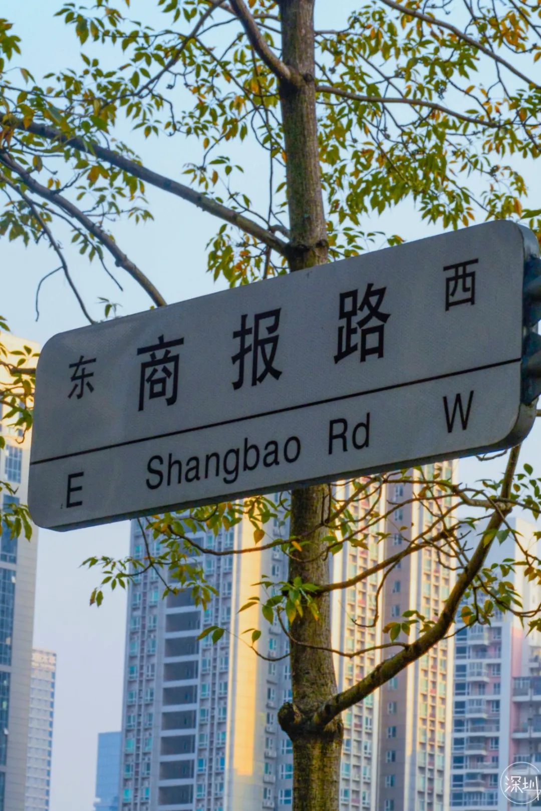 景甜有多大,景田是什么档次