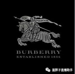 你对奢侈品的了解,你对奢侈品行业了解吗