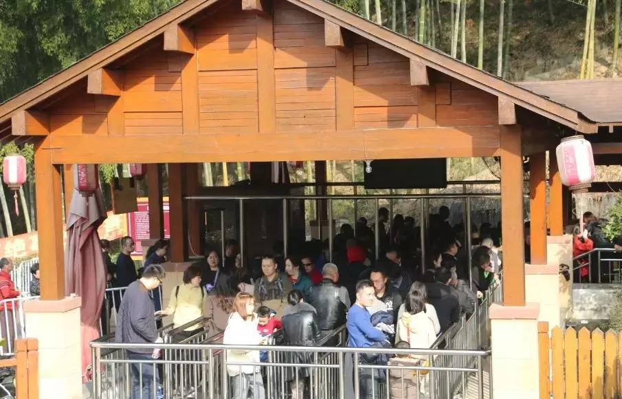 今天,我在宜兴竹海,过传统春节,沾福气满满!