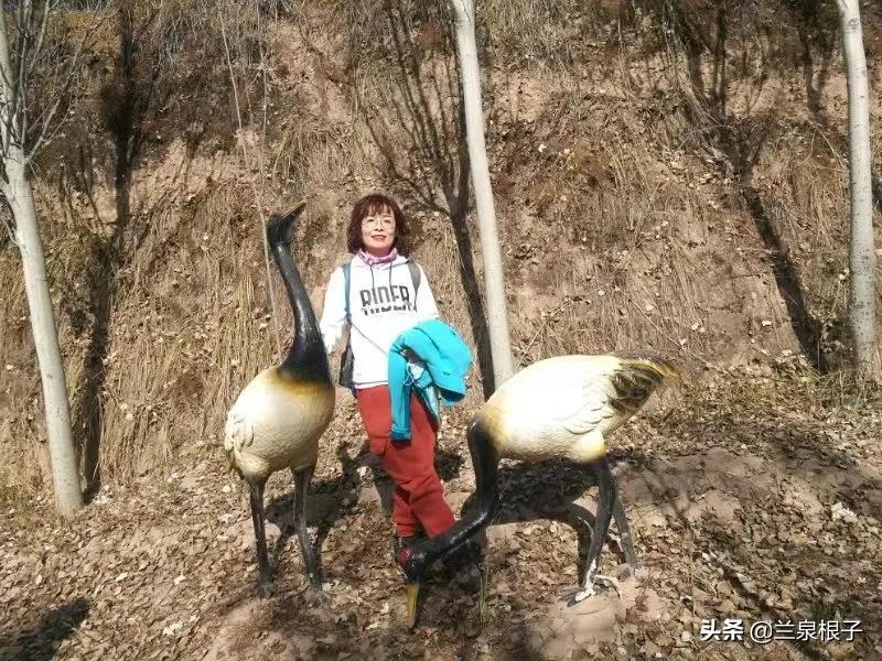 立冬自然风景,立冬雪景山水风景视频