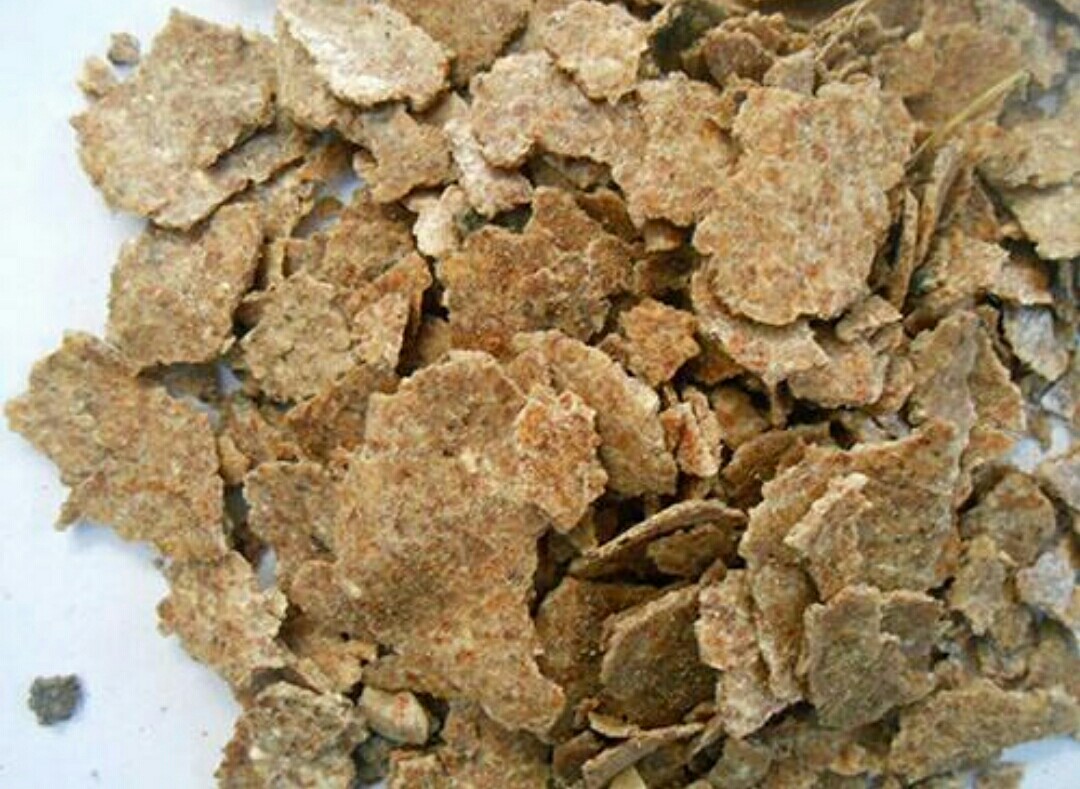 花肥自制有机肥,养花自制花肥