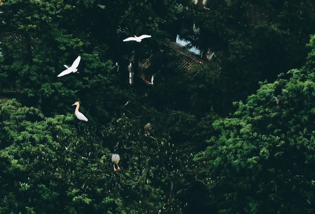 浦江朝阳湖值得游玩吗,浦江夜色旅游攻略