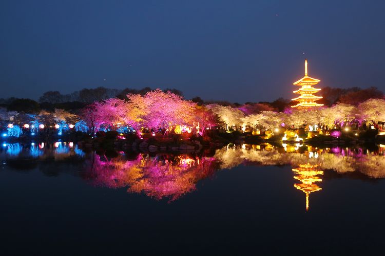 鑻遍泟褰掓潵妯辫姳鏈夌害,妯辫姳鐩涘紑鑻遍泟褰掓潵瀹屾暣瑙嗛