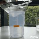 一次性宠物浴巾测评,宠物浴巾测评