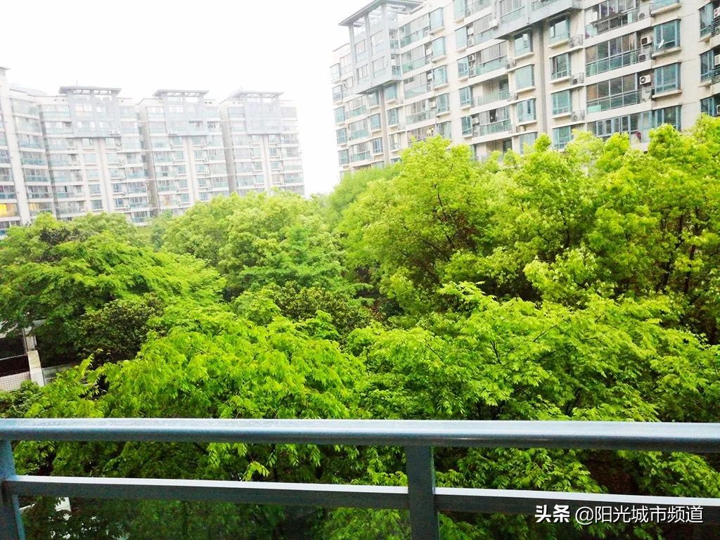 仁恒楼盘最新房价,仁恒楼盘值不值得买