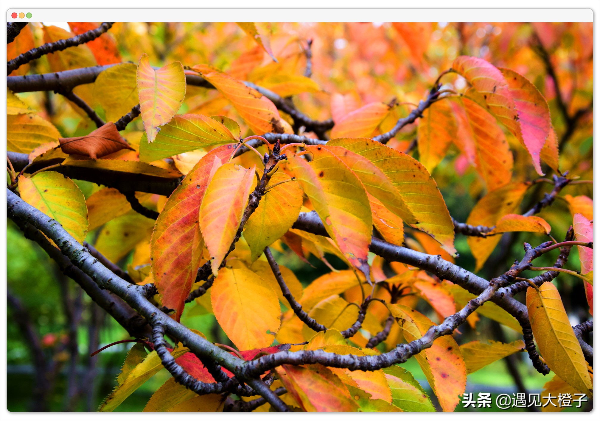 技术控的你，准备好收藏这些网站了吗？真的有必要了解一下