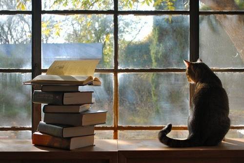 阅读遇到四维读书法，有了工具后的读书，会怎么样呢？