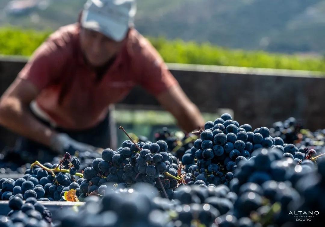 澶╂触鐢滈厭涓撻浜у搧 (涓婃捣鐢滈厭鎷涘晢)