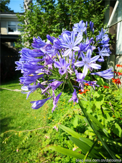 在新西兰你活得多自在,新西兰成功治好了我的焦虑