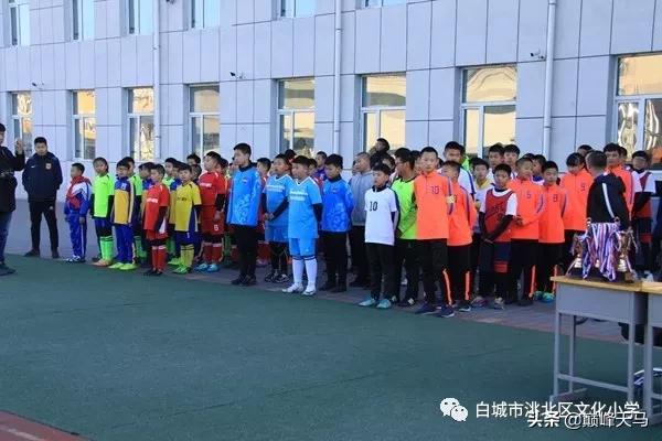 文化小学2023运动会,文化小学篮球比赛视频