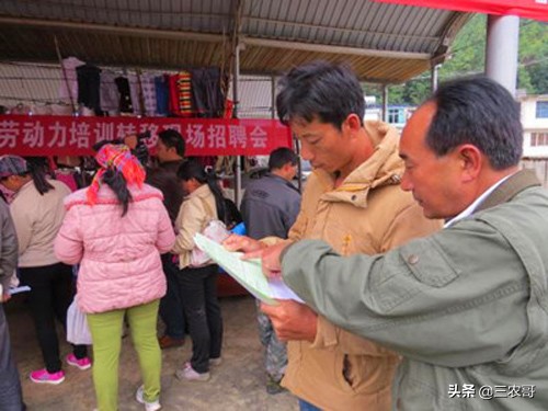 2020年农村最赚钱的12个行业,2022年农村最赚钱的十大生意