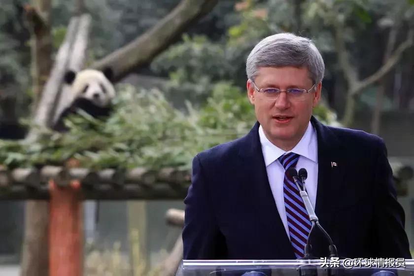 魁北克市通用语言是法语吗,魁北克法语和法国语的区别