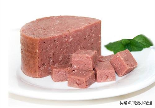 如何辨别狗粮好坏和选择的方法,狗粮泡水里怎么确认是好狗粮