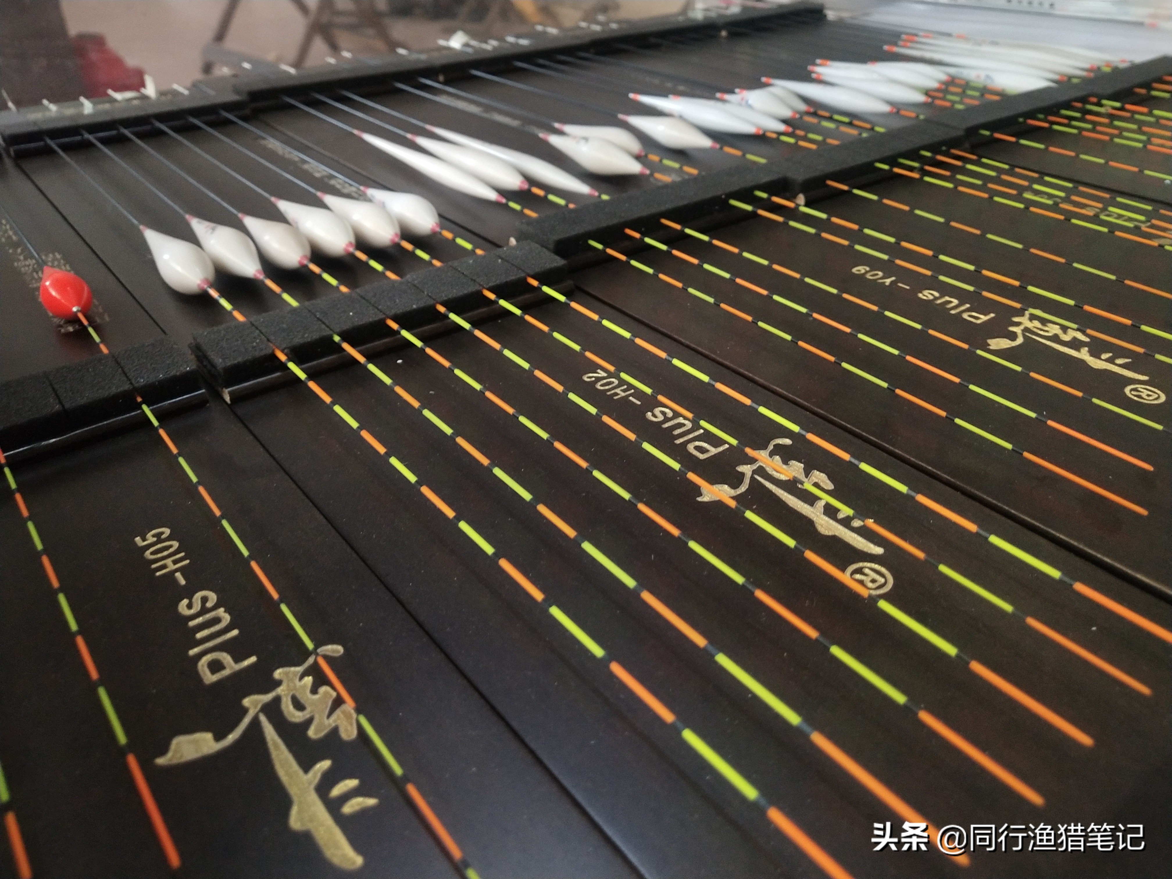 窝里有鱼扔个羊粪蛋子都吃、装备也无所谓，错！此乃无知者无畏