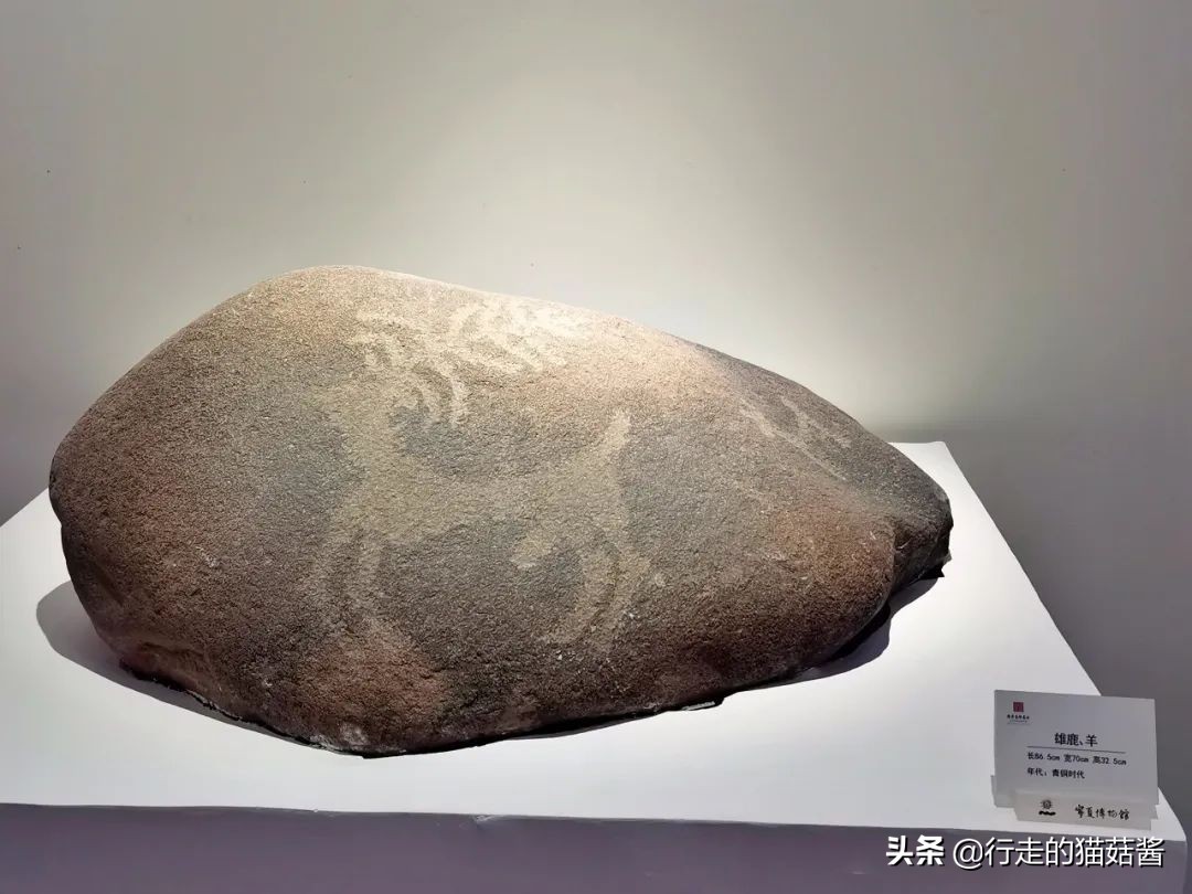 超出预期的大西北第一站，我要吹爆银川！吃玩住行全含