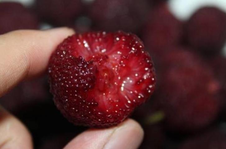 洗杨梅,用清水或者用盐水都不对,学会正确处理方法,干净放心吃