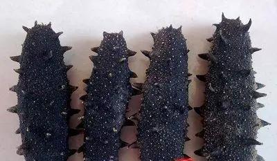 什么样的海参是比较好的海鲜,什么样的海参质量好有养分