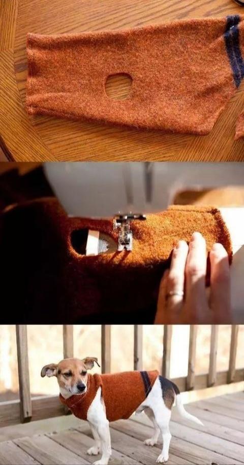 旧衣服做狗狗衣服步骤图片,旧衣服改狗狗四脚棉服视频