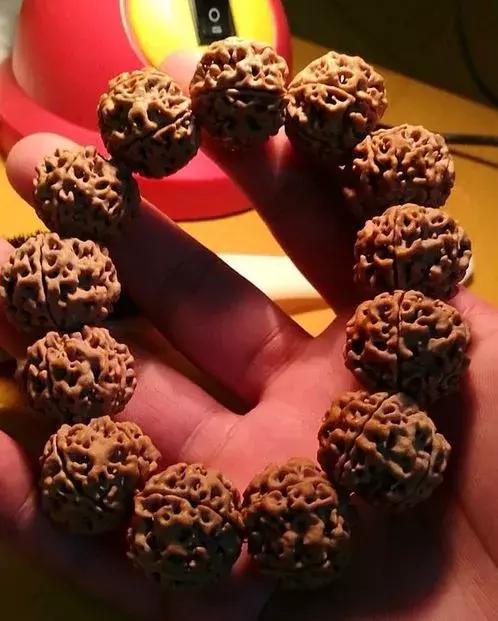 金刚贵贱区别,金刚菩提多久能红