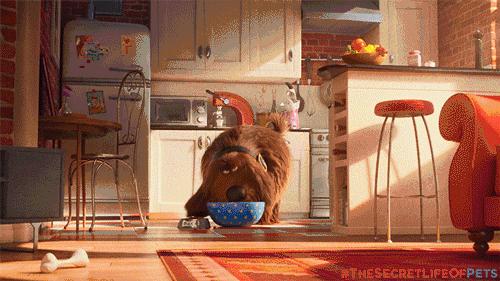 那些很好听的动画片主题曲,经典动画英文电影主题曲