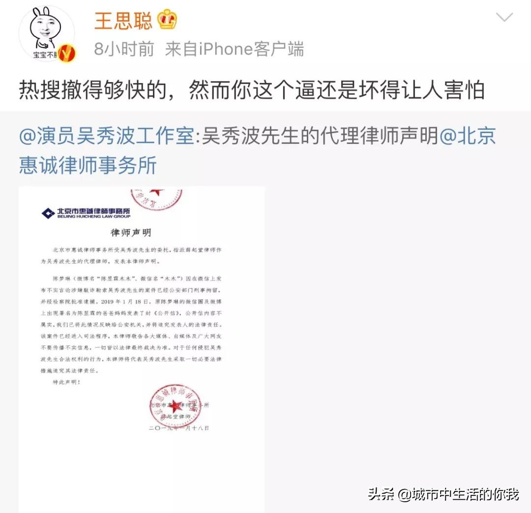 吴秀波的小三判了几年,吴秀波小三被判了多少年