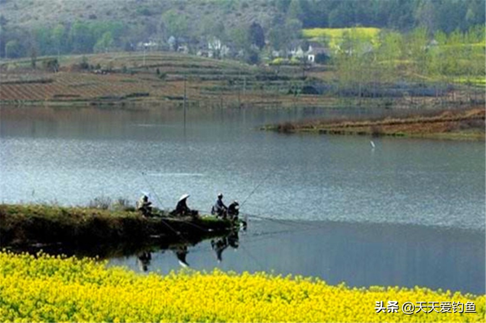 春季钓鱼，哪种风向鱼好钓？有说南风天，有说北风天，你怎么看？