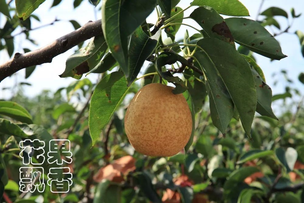 一位企业家的成功之路,企业家要有仰望星空的格局与胸襟