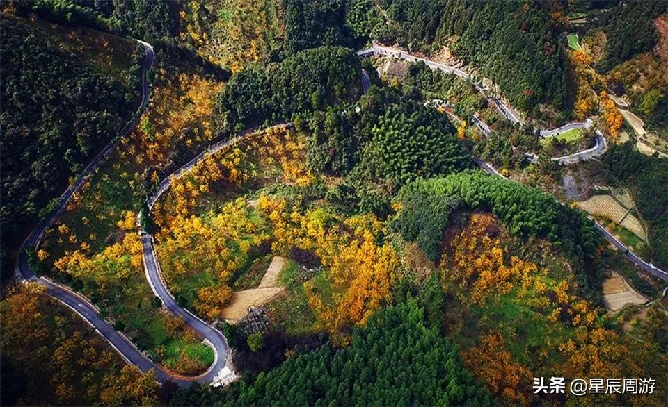 杭州临安湍口温泉小镇,临安湍口温泉旅游攻略
