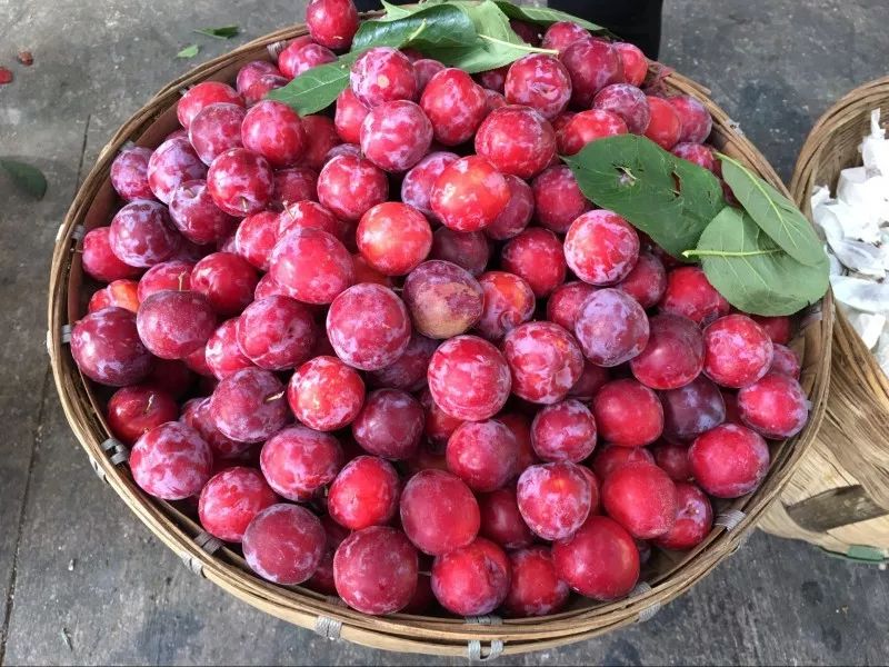 汶川是什么省,汶川大地震