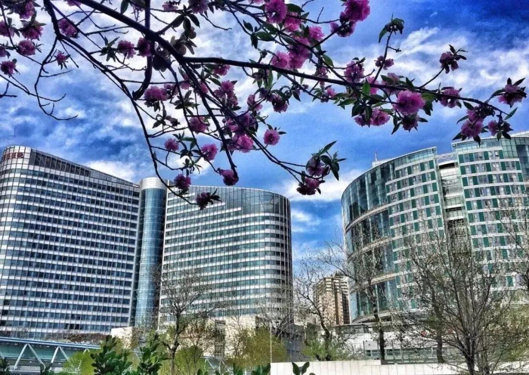 太牛了！天津医科大学总医院又上榜了