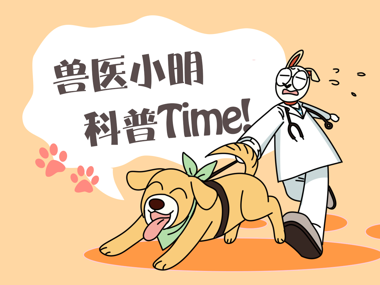 狗狗打针的时候脑袋一直发抖,狗狗打针回家后没精神怎么回事