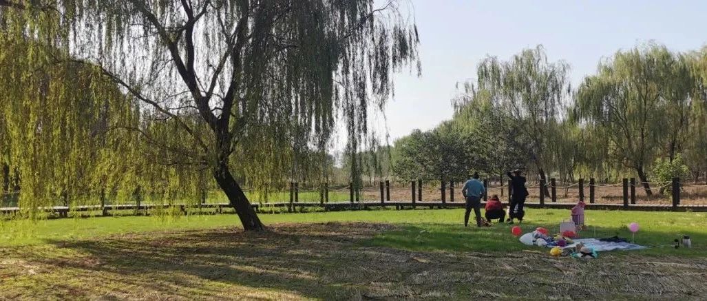 山东王屋湖国家湿地公园,山东最美湿地公园