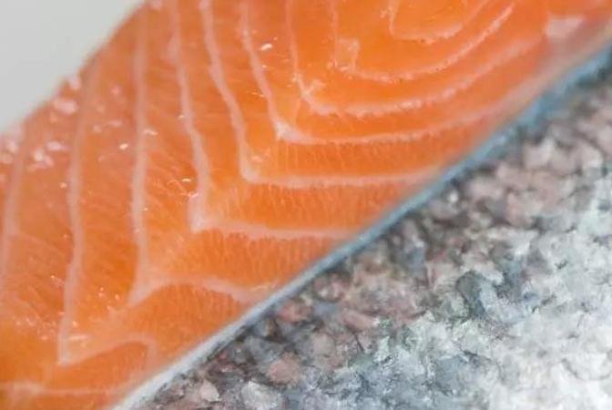 顶级北极贝刺身,大北极贝刺身优惠